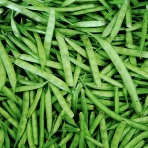 Guar Gum