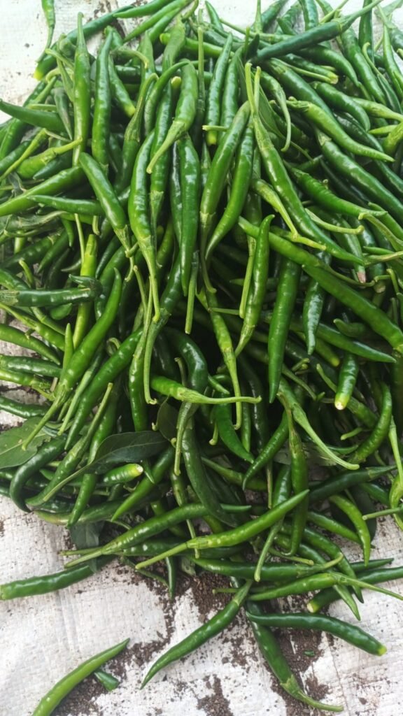 Fresh Green Chilli
